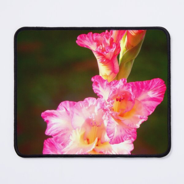 Item preview, Gladiolus Beauty designed and sold by angel1.
