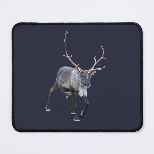 Item preview, Santa Claus Reindeer designed and sold by FotoJarmo.
