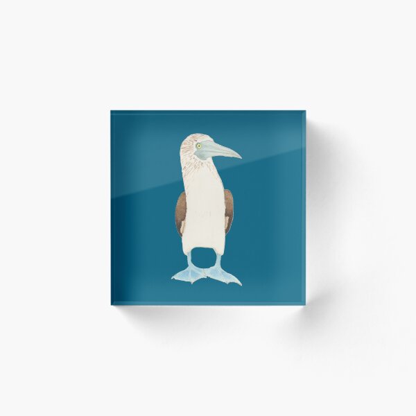 Artikelvorschau, BLUE-FOOTED BOOBY - Aquarell-Design entworfen und verkauft von Susan Prolman.