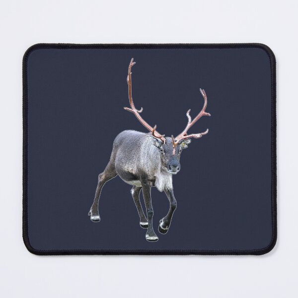 Item preview, Santa Claus Reindeer designed and sold by FotoJarmo.