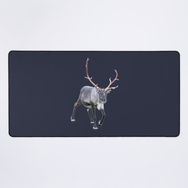 Item preview, Santa Claus Reindeer designed and sold by FotoJarmo.