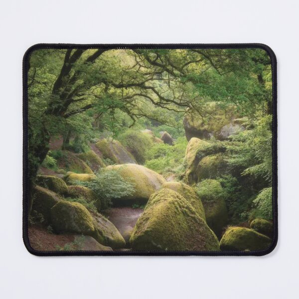 Item preview, Huelgoat Forest In Brittany designed and sold by RiverenAshley.