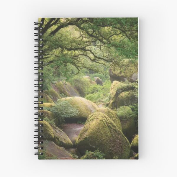 Artikelvorschau, Huelgoat Forest in der Bretagne entworfen und verkauft von RiverenAshley.