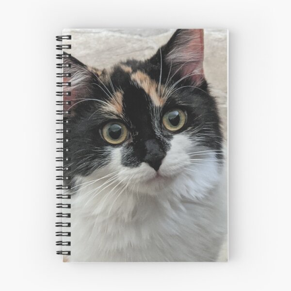 Item preview, Faith the kitten designed and sold by reDk1te.