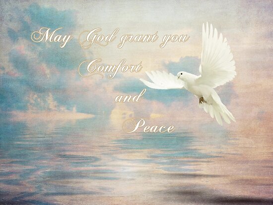 May God Grant You Comfort And Peace Poster By Barbny Redbubble