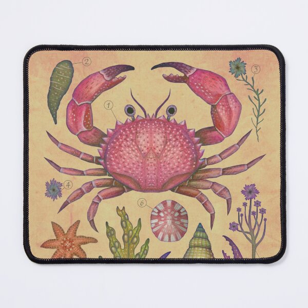Item preview, Marine Life I designed and sold by Cabinet Of Curiosities by Vlad.
