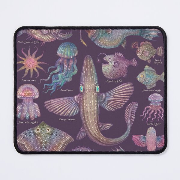 Item preview, Sea life specimens III designed and sold by Cabinet Of Curiosities by Vlad.