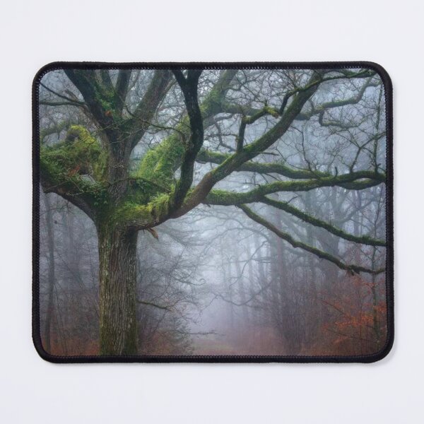 Item preview, Old Oak Tree designed and sold by RiverenAshley.