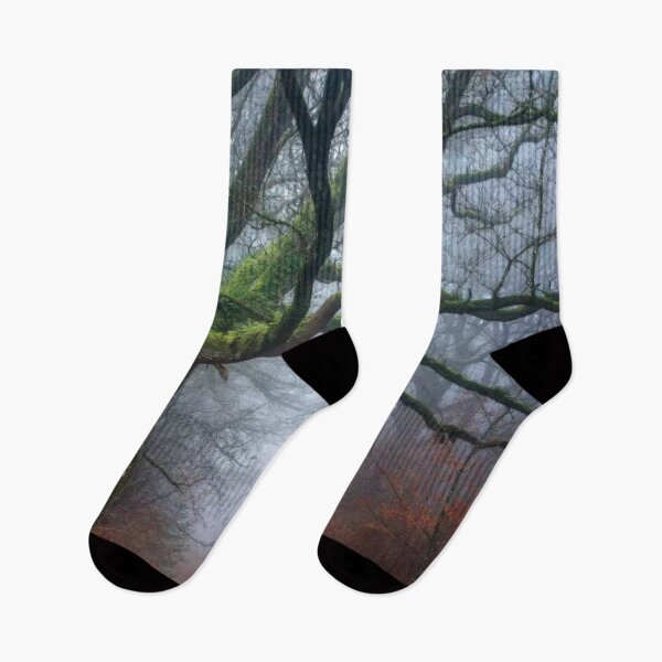 Item preview, Old Oak Tree designed and sold by RiverenAshley.