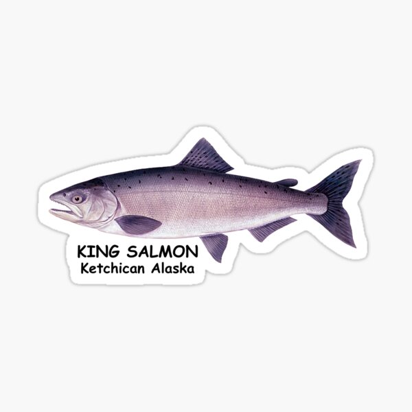 Vista previa del artículo con la obra «SALMÓN REY KETCHICAN ALASKA», diseñado y vendido por cgullart.