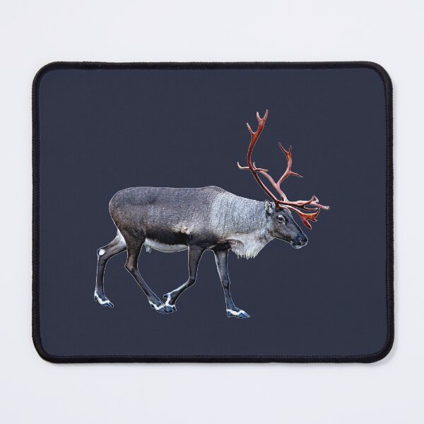 Item preview, Santa Claus Reindeer designed and sold by FotoJarmo.