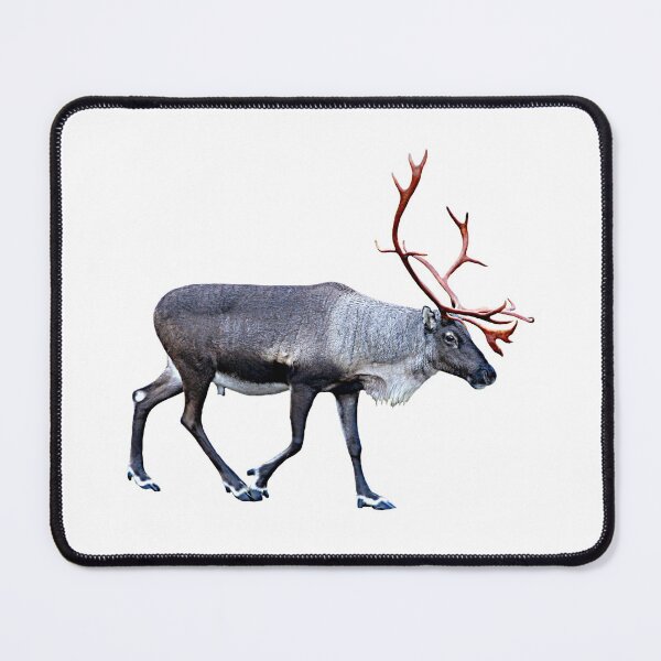 Item preview, Santa Claus Reindeer designed and sold by FotoJarmo.