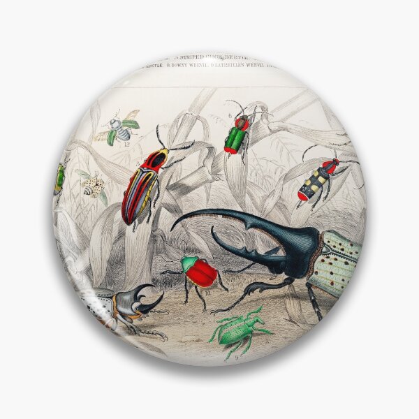 Item preview, Collection of Beetles designed and sold by Nikiolilalala.