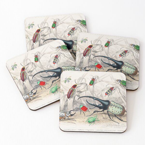 Item preview, Collection of Beetles designed and sold by Nikiolilalala.