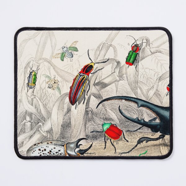 Item preview, Collection of Beetles designed and sold by Nikiolilalala.