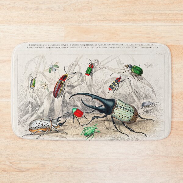 Item preview, Collection of Beetles designed and sold by Nikiolilalala.