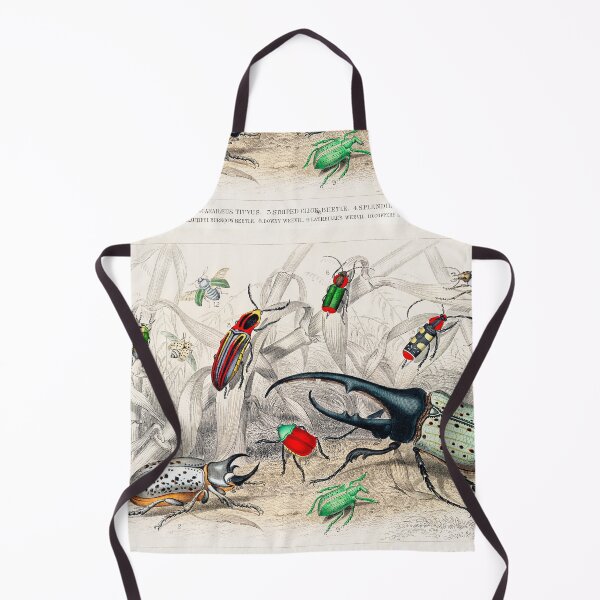 Item preview, Collection of Beetles designed and sold by Nikiolilalala.