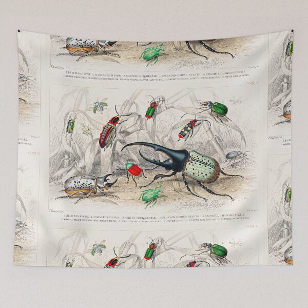 Item preview, Collection of Beetles designed and sold by Nikiolilalala.