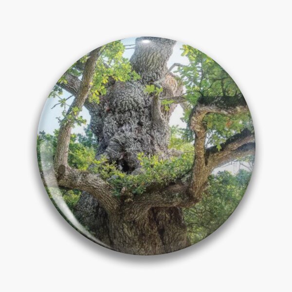 Item preview, The Old Tree Oak designed and sold by RiverenAshley.