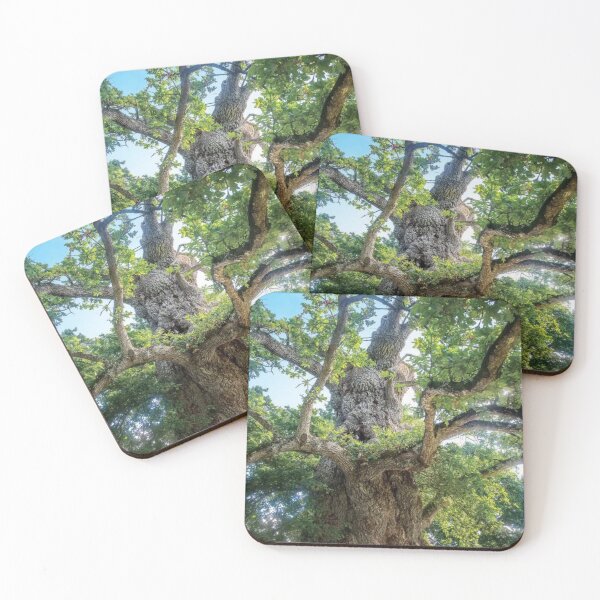 Item preview, The Old Tree Oak designed and sold by RiverenAshley.