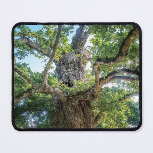 Item preview, The Old Tree Oak designed and sold by RiverenAshley.