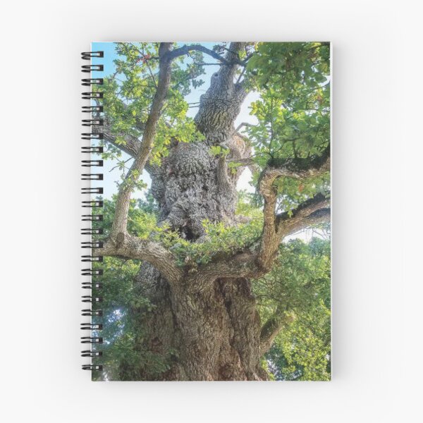 Item preview, The Old Tree Oak designed and sold by RiverenAshley.