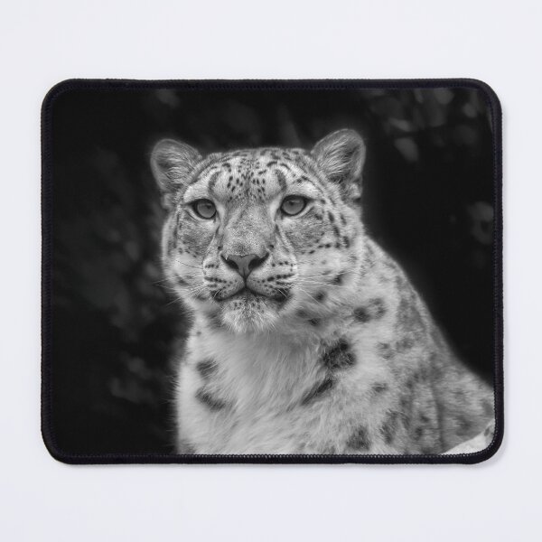 Item preview, Snow Leopard Portait in Black and White designed and sold by Catherine Reading.
