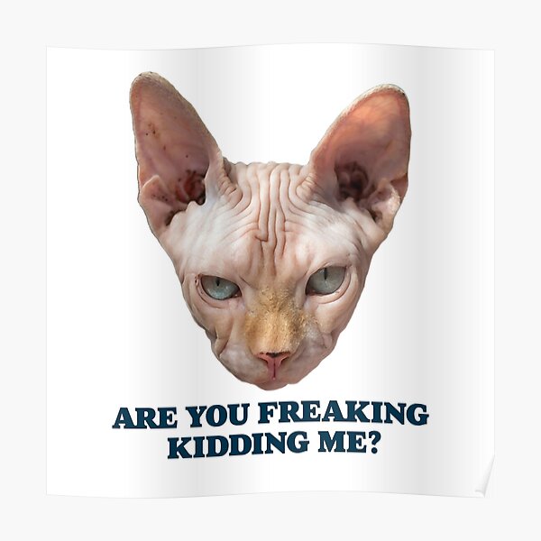 sarcastic-kitty-saying-are-you-freaking-kidding-me-poster-for-sale