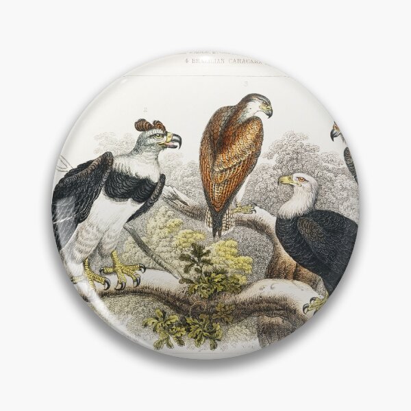 Item preview, Collection of Eagles designed and sold by Nikiolilalala.