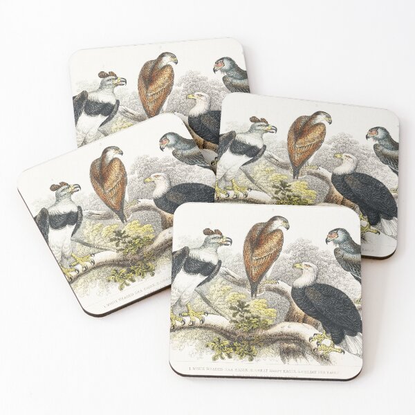 Item preview, Collection of Eagles designed and sold by Nikiolilalala.