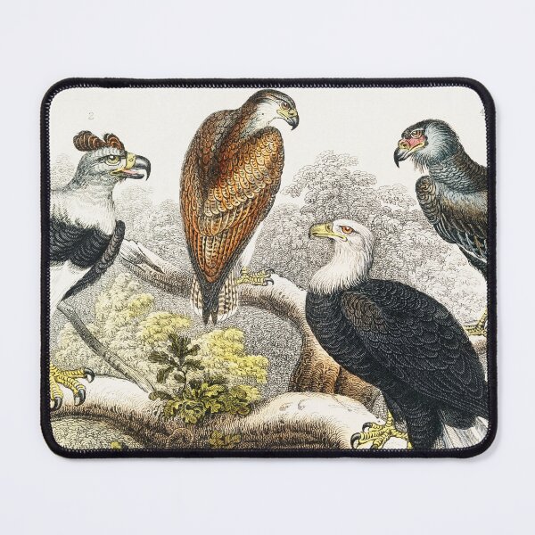 Item preview, Collection of Eagles designed and sold by Nikiolilalala.