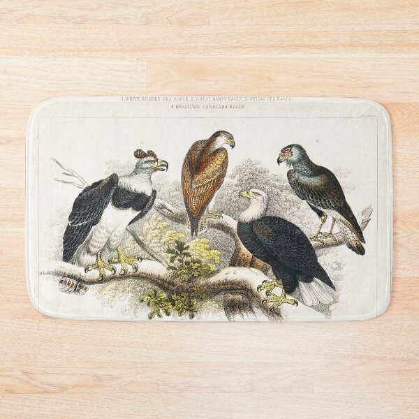 Item preview, Collection of Eagles designed and sold by Nikiolilalala.