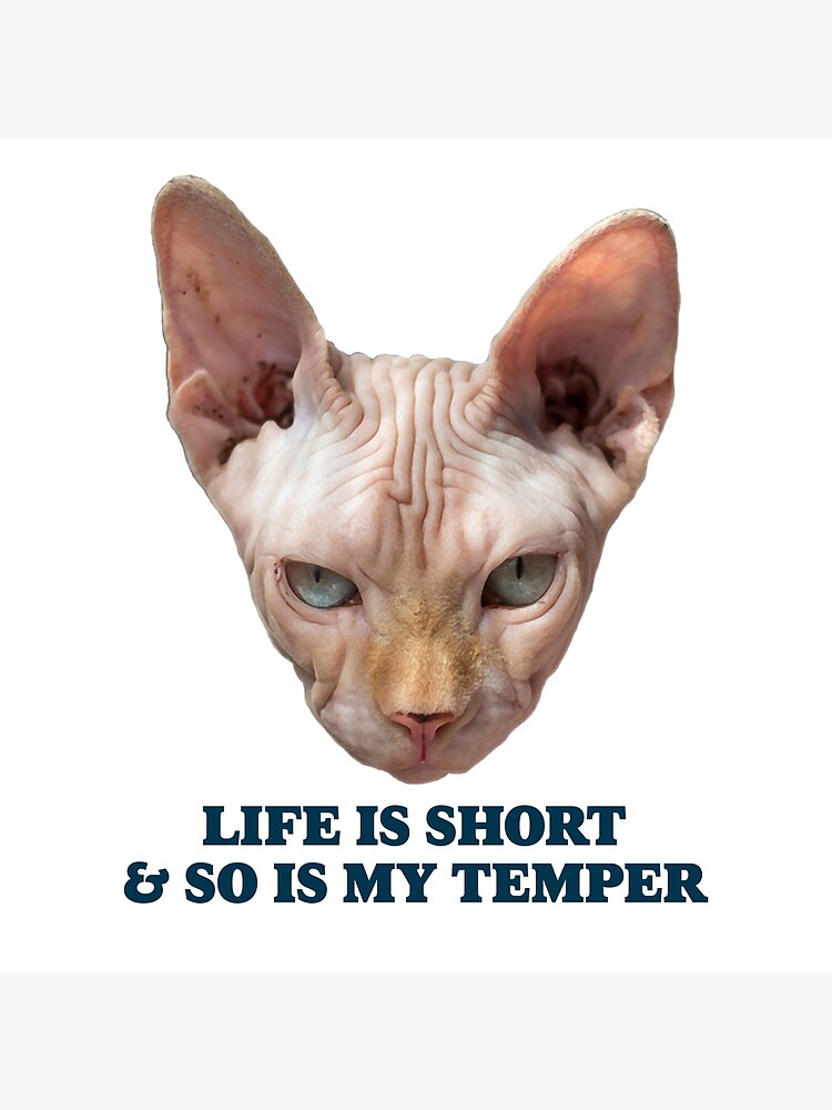 sarcastic-kitty-saying-life-is-short-so-is-my-temper-poster-for