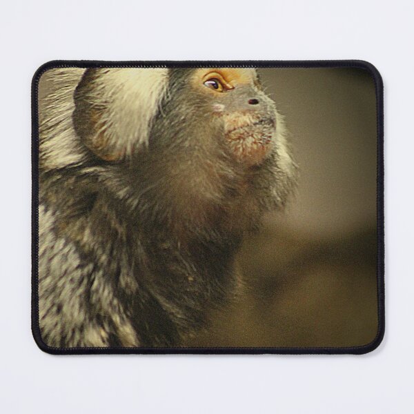 Item preview, Common Marmoset designed and sold by Ladymoose.