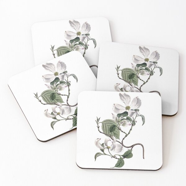 Item preview, Sydenham Edwards: Flowering Dogwood designed and sold by antaltamas89.