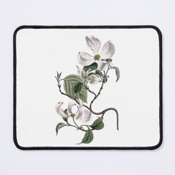 Item preview, Sydenham Edwards: Flowering Dogwood designed and sold by antaltamas89.