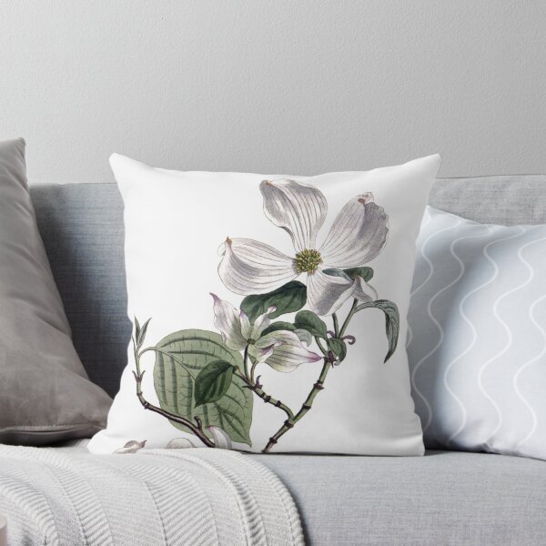 Item preview, Sydenham Edwards: Flowering Dogwood designed and sold by antaltamas89.