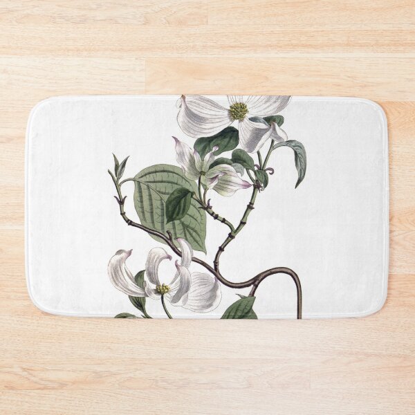 Item preview, Sydenham Edwards: Flowering Dogwood designed and sold by antaltamas89.