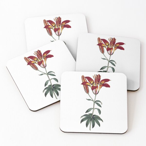 Item preview, Sydenham Edwards: Philadelphia Lily designed and sold by antaltamas89.