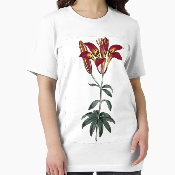 Item preview, Sydenham Edwards: Philadelphia Lily designed and sold by antaltamas89.