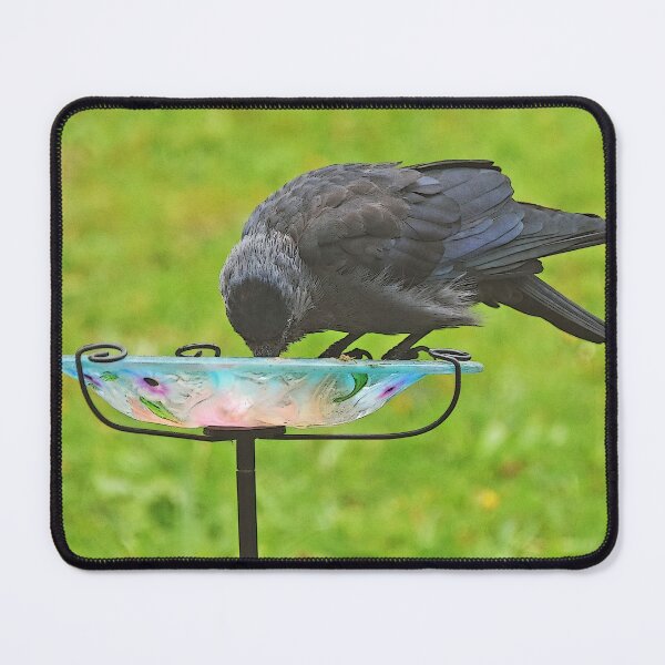 Item preview, Jackdaw in the Garden designed and sold by lynn carter.