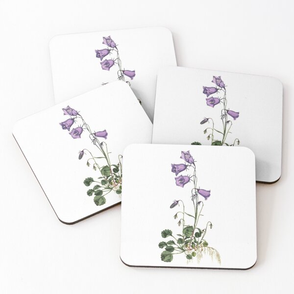 Item preview, Sydenham Edwards: Peach-Leaved Bellflower designed and sold by antaltamas89.