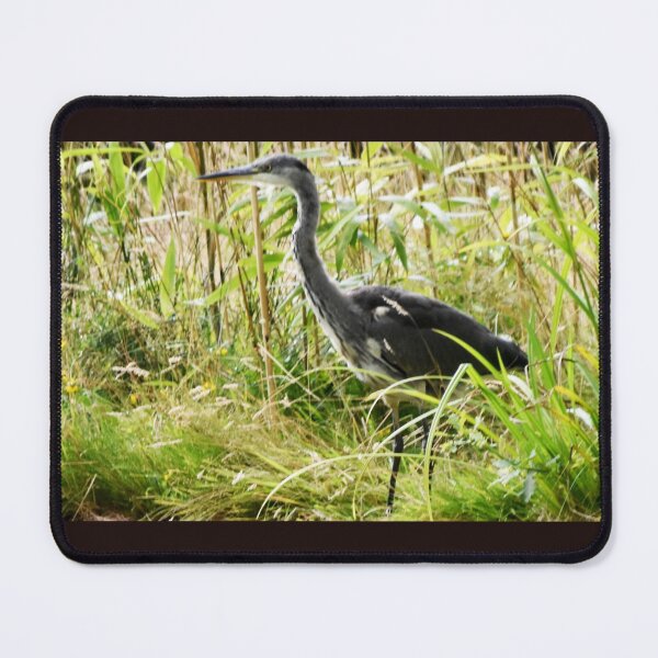 Item preview, Heron at the Basingstoke Canal,  Woking UK designed and sold by lynn carter.