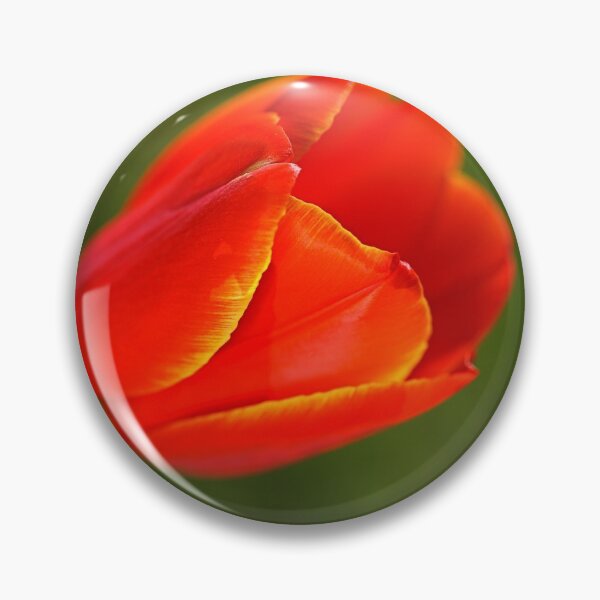 Item preview, Tulips Over Green Background designed and sold by Joy Watson - Natural Light Photography .