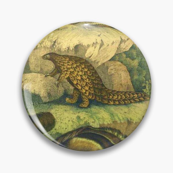 Item preview, Pangolin Antique Illustration designed and sold by HushedCreations.
