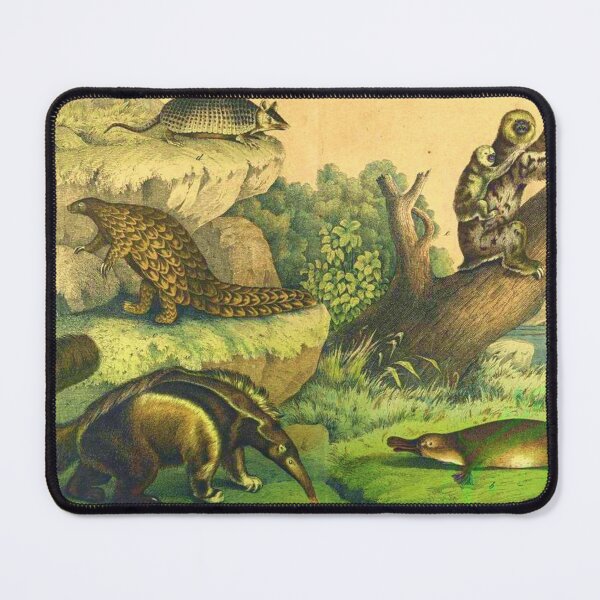 Item preview, Pangolin Antique Illustration designed and sold by HushedCreations.