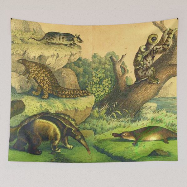 Item preview, Pangolin Antique Illustration designed and sold by HushedCreations.