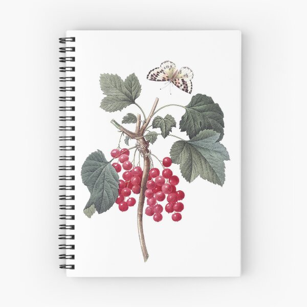 Item preview, Pierre-Joseph Redouté: Redcurrant (Redouté) designed and sold by antaltamas89.