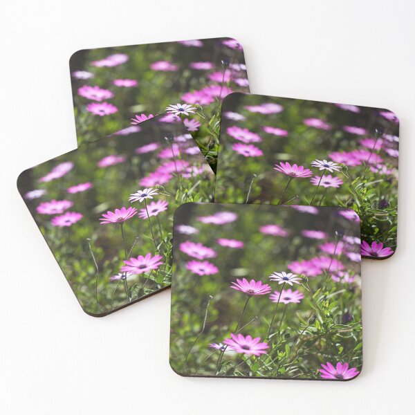 Item preview, Daisy Cape Garden Display designed and sold by Joy Watson - Natural Light Photography .