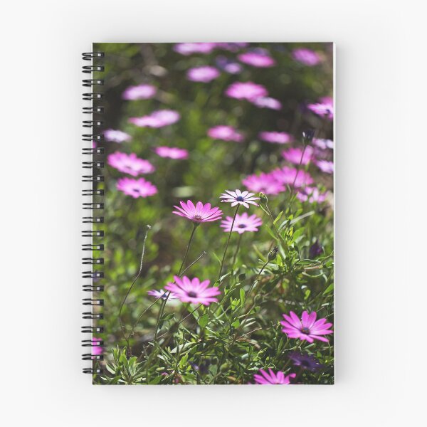 Item preview, Daisy Cape Garden Display designed and sold by Joy Watson - Natural Light Photography .